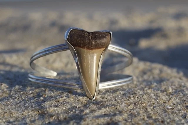 IMG_8502 Medium.jpeg