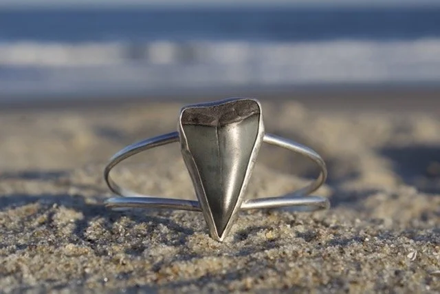 IMG_8495 Medium.jpeg