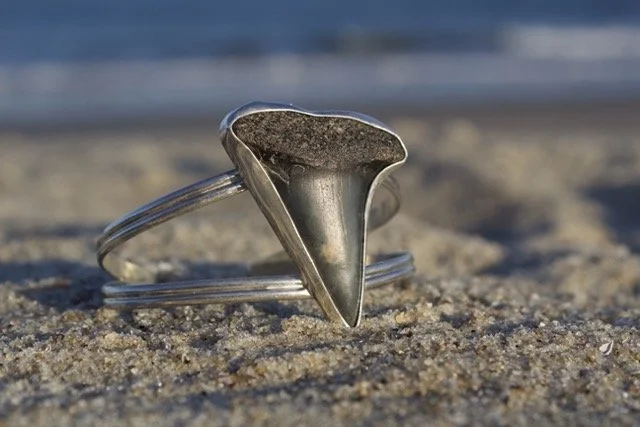 IMG_8493 Medium.jpeg