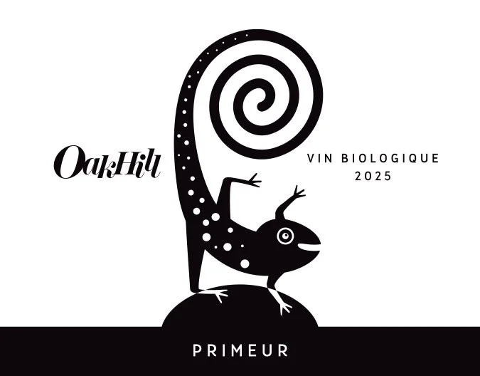 1 bouteille de Primeur 2025