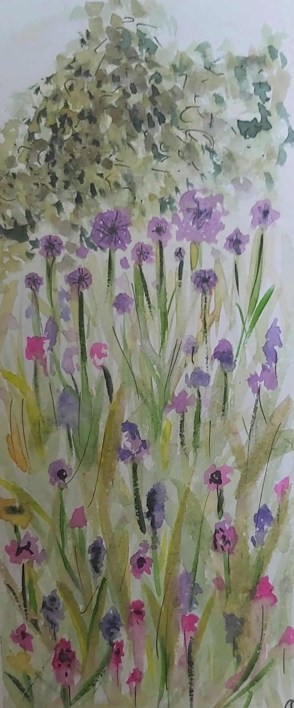 In the walled gardens in the Phoenix Park, 2019

Watercolour in Moleskine Sketchbook