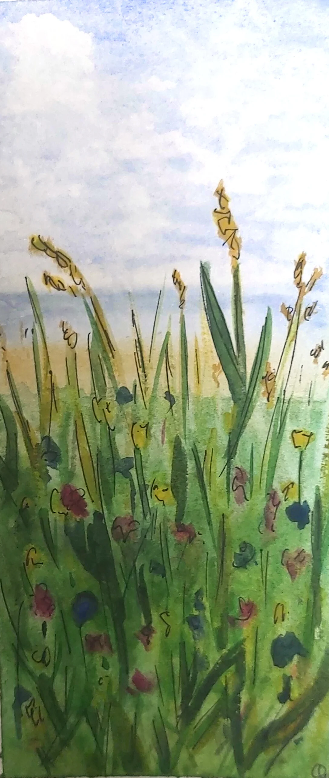The Burren, Co. Clare, 2019

Watercolour in Moleskine Sketchbook
