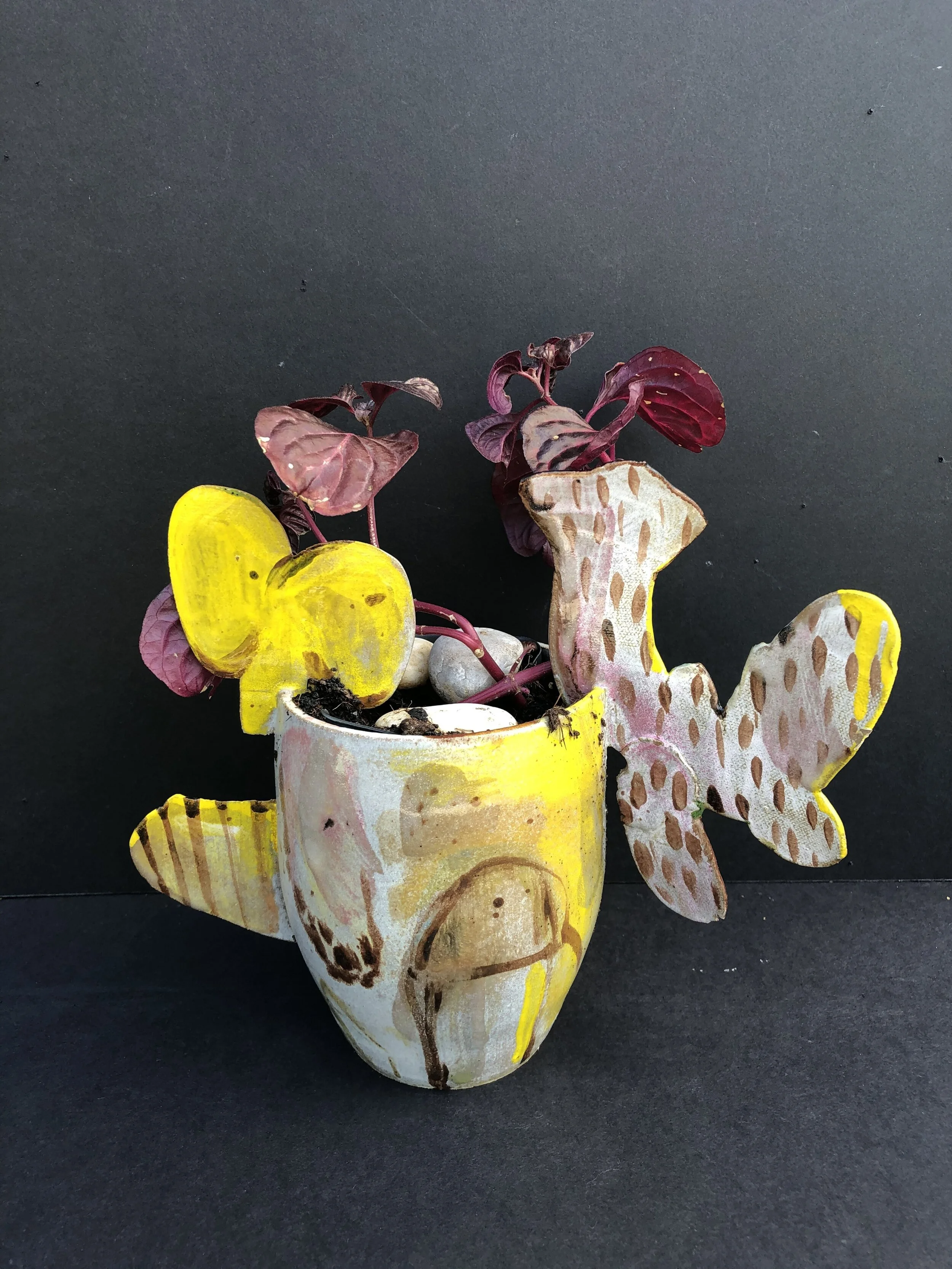 about color and shape