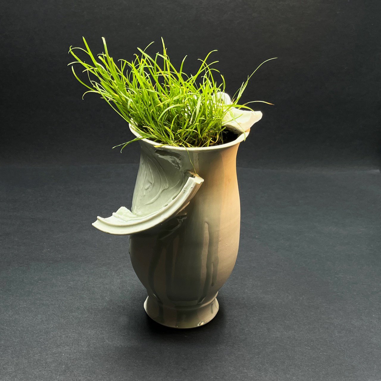 Alive chalice #2.jpeg