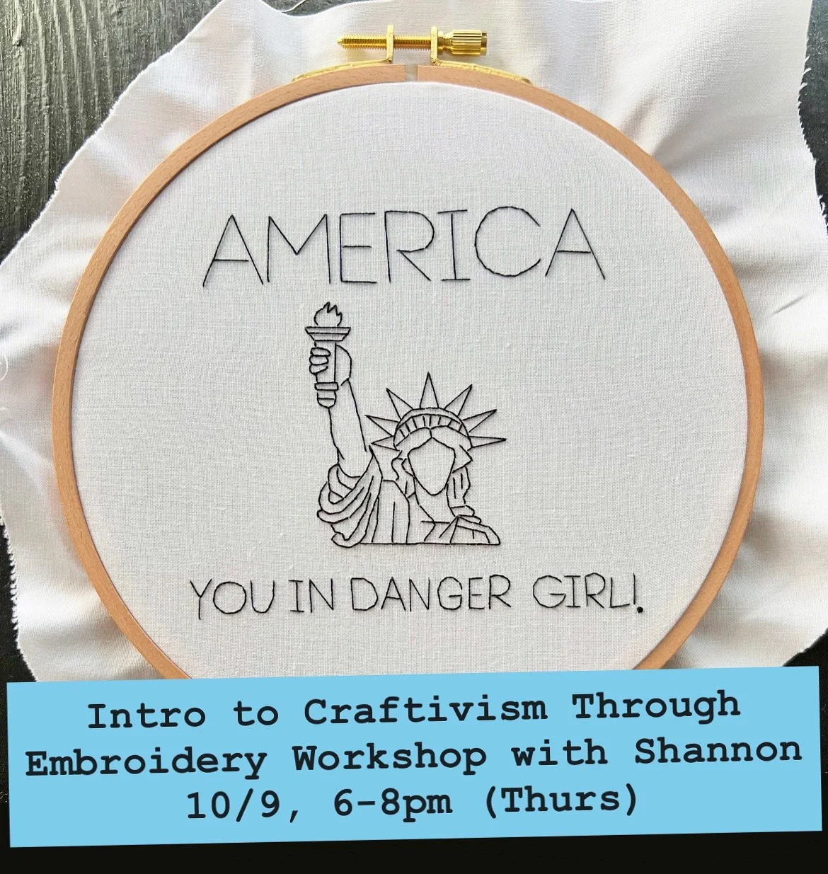 Intro to Craftivism (Chicago)