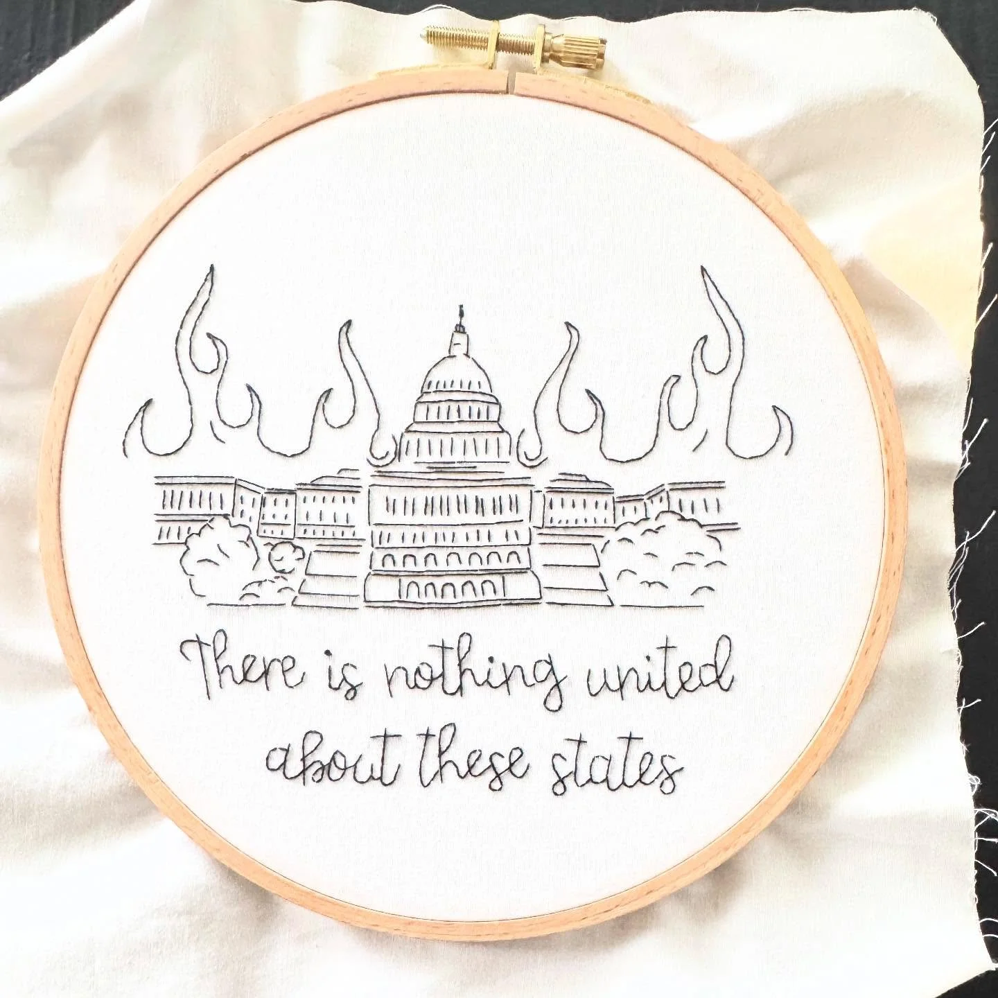 Just facts. 
Chicago folks: please see my story. You have somewhere to be on Saturday. 
#unitedstates #chicago #embroidery #craftivism #capitolbuilding