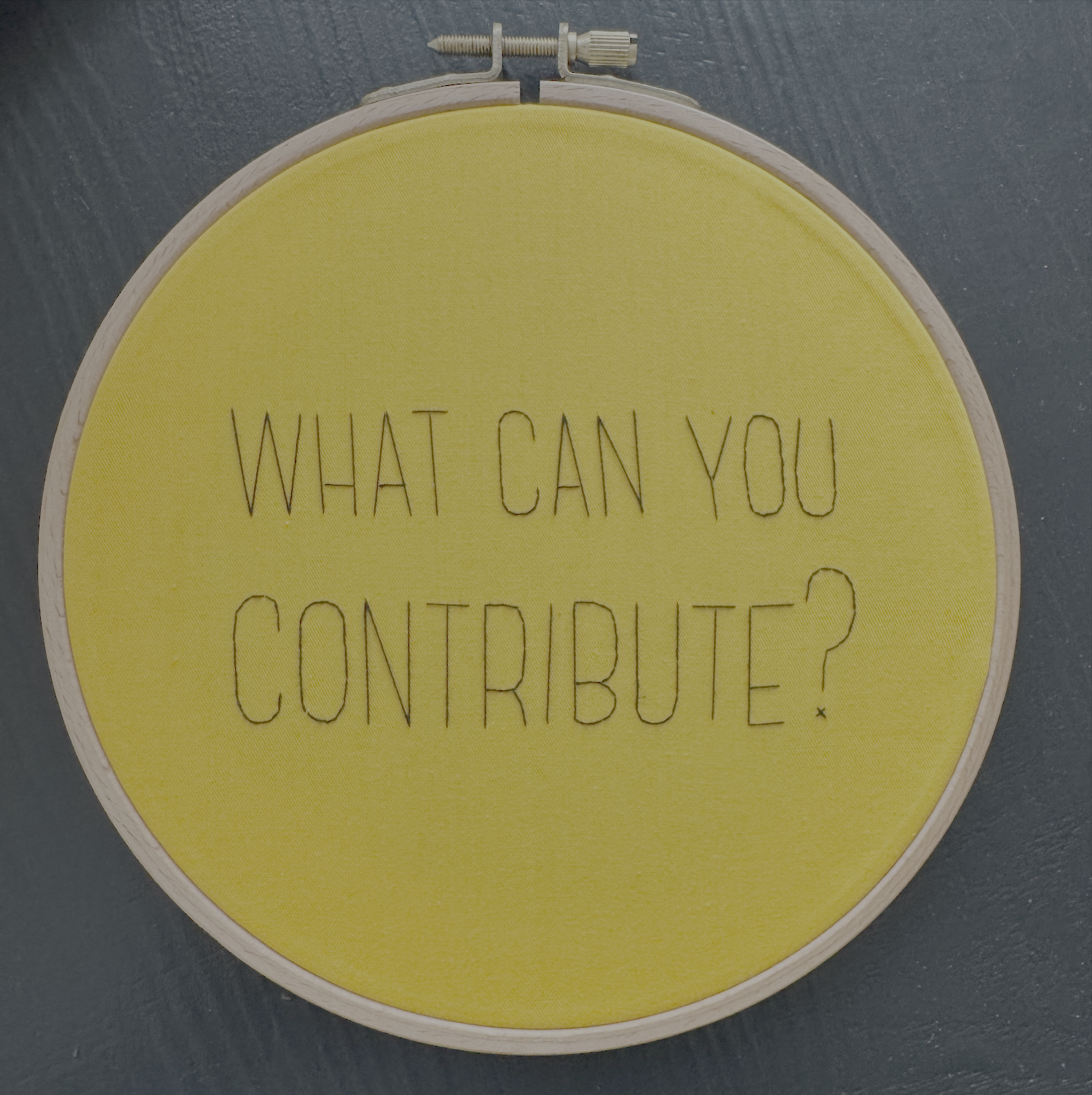 What Can You Contribute.png