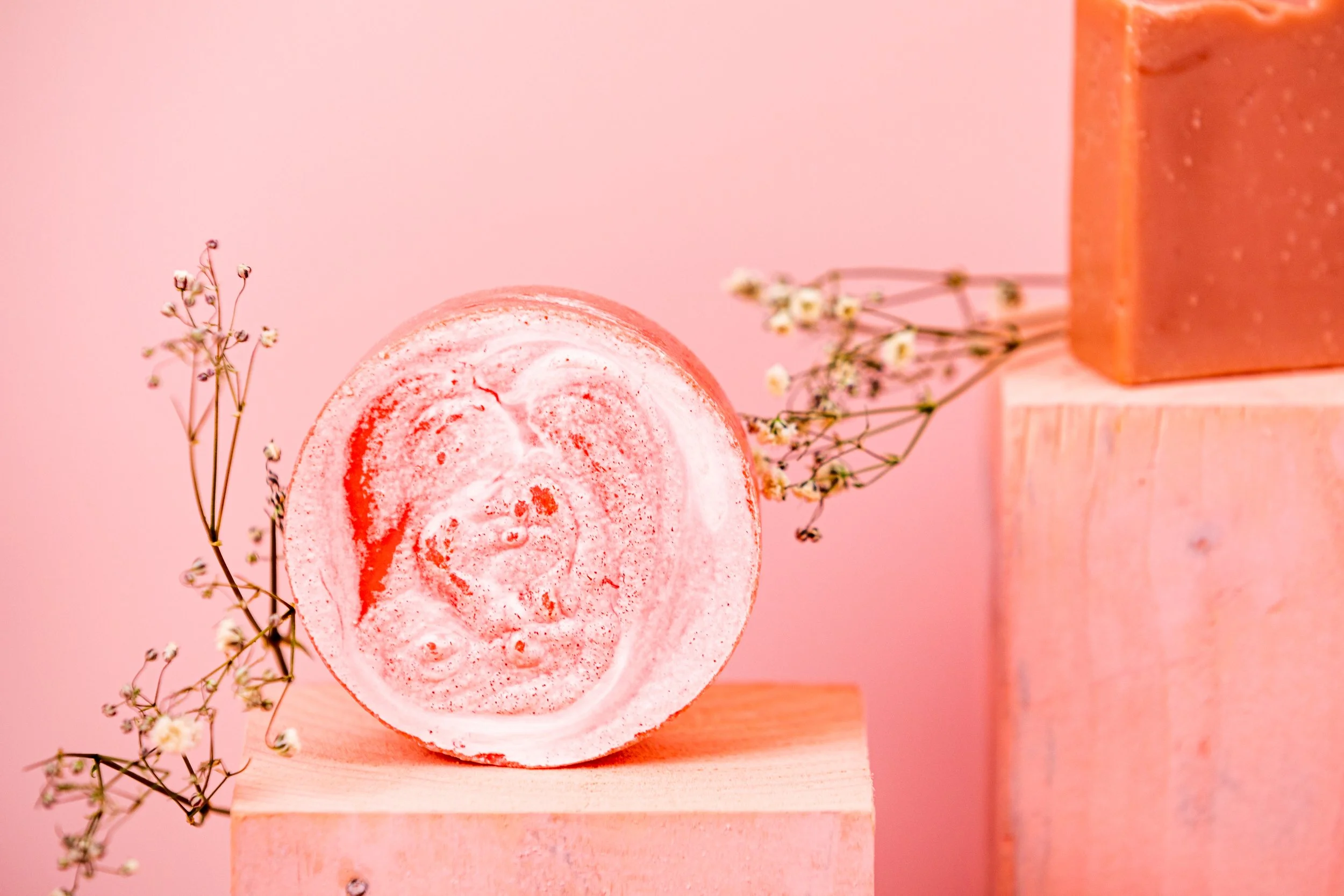 20210310-C30A0305 (1).jpg