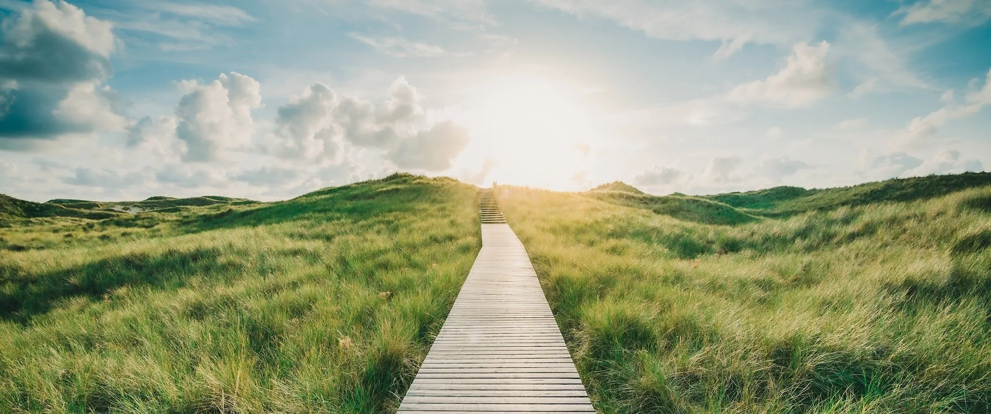 Wooden+pathway+surrounded+by+a+big+grassy+field+looking+at+the+sun+and+blue+sky-min.jpg