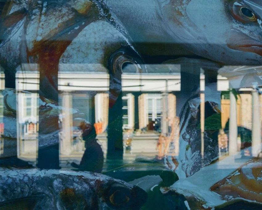 Fish market