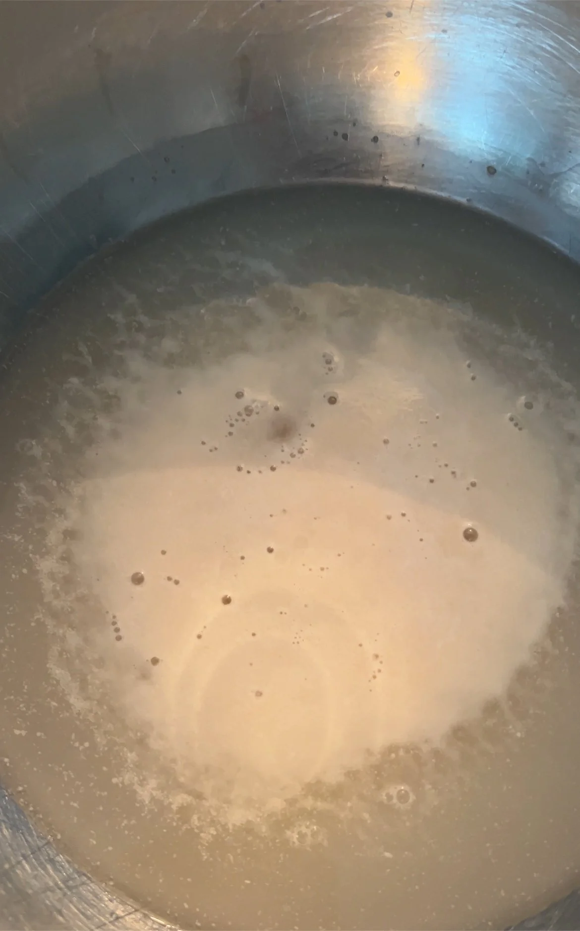 yeast blooming .jpg