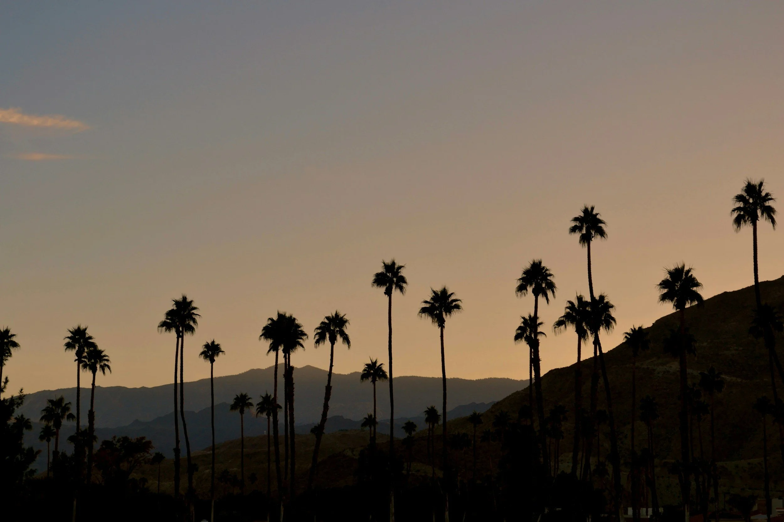 Immigration Evaluations in Riverside County, California