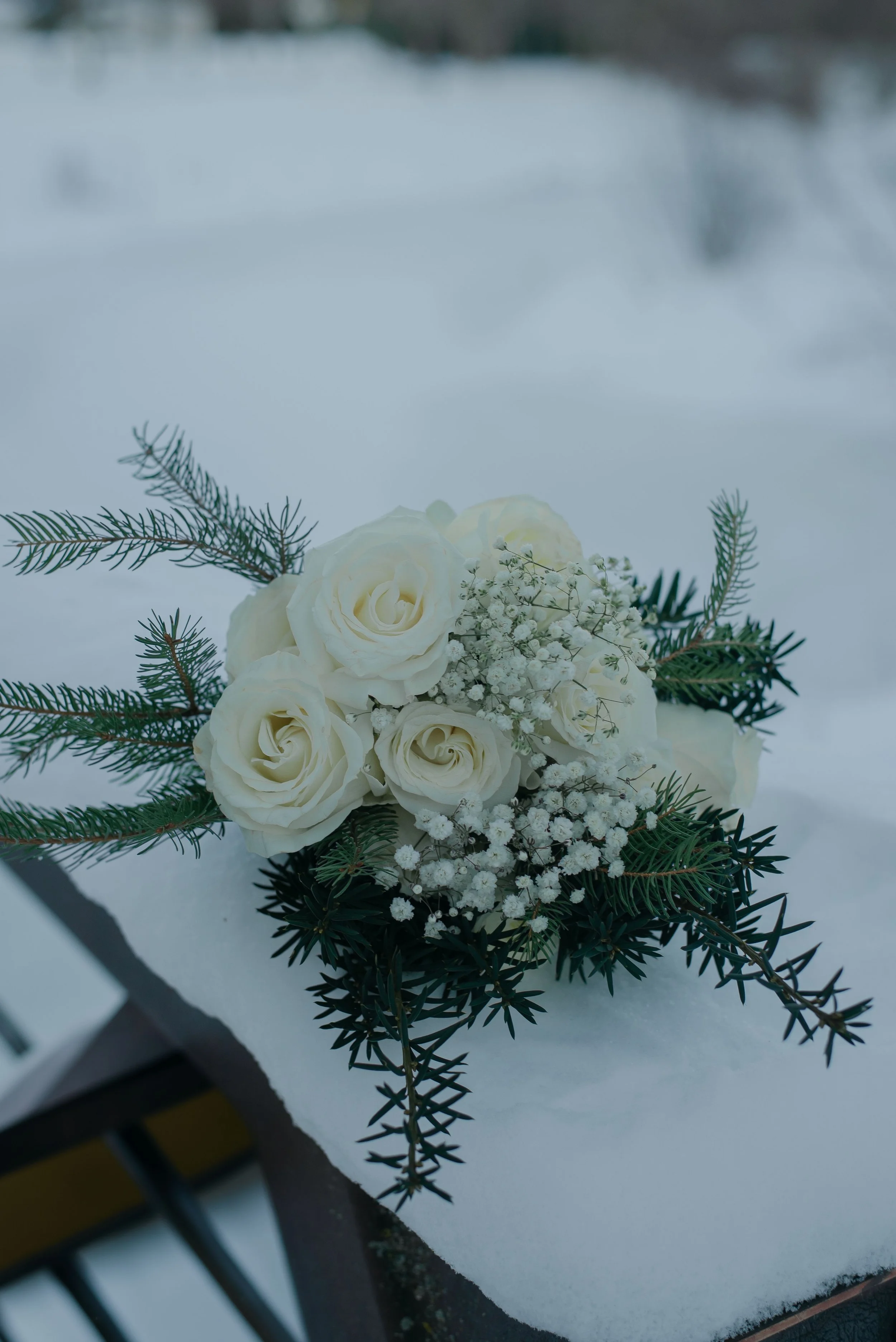 deBoerPhotography-27.jpg
