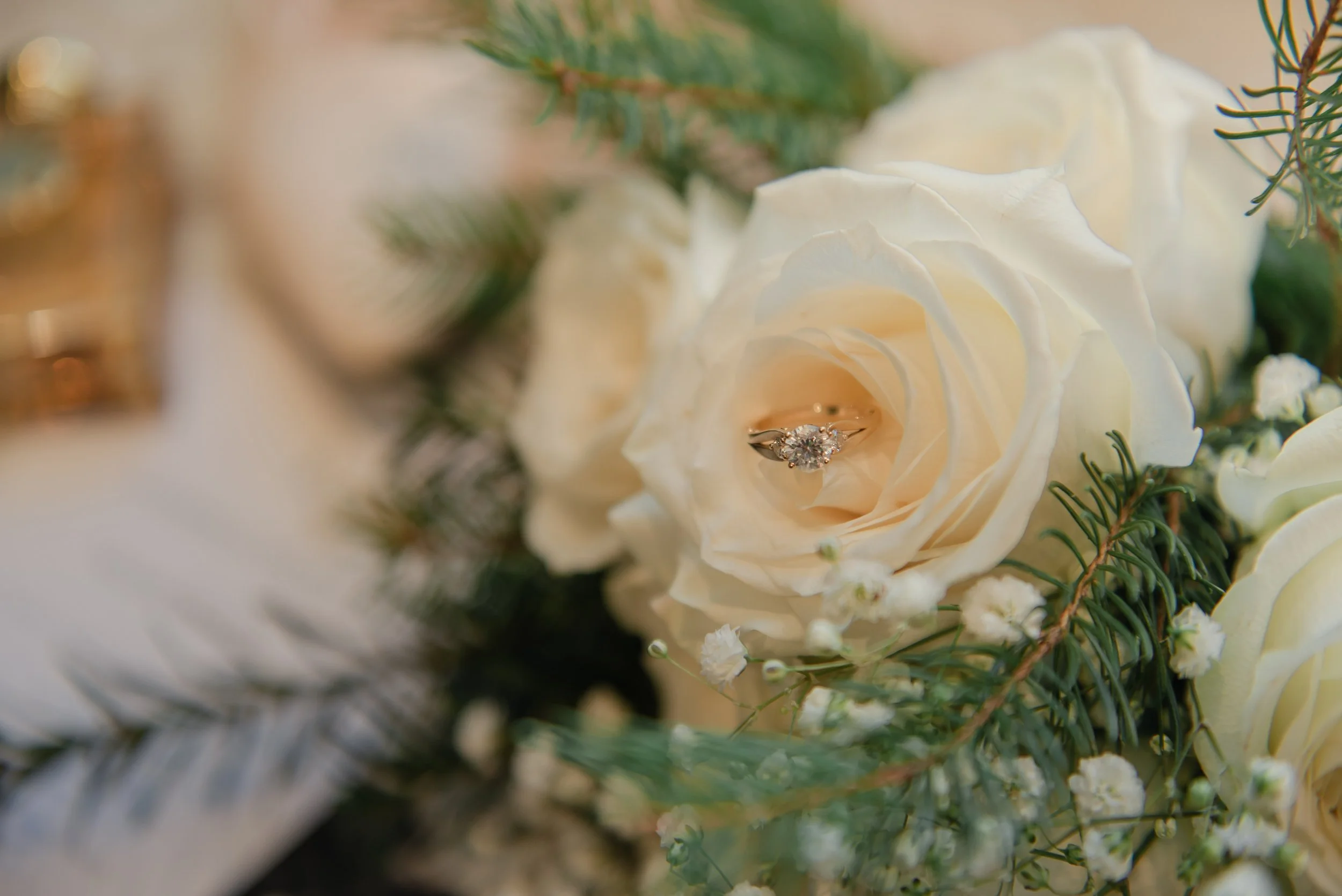 deBoerPhotography-1.jpg