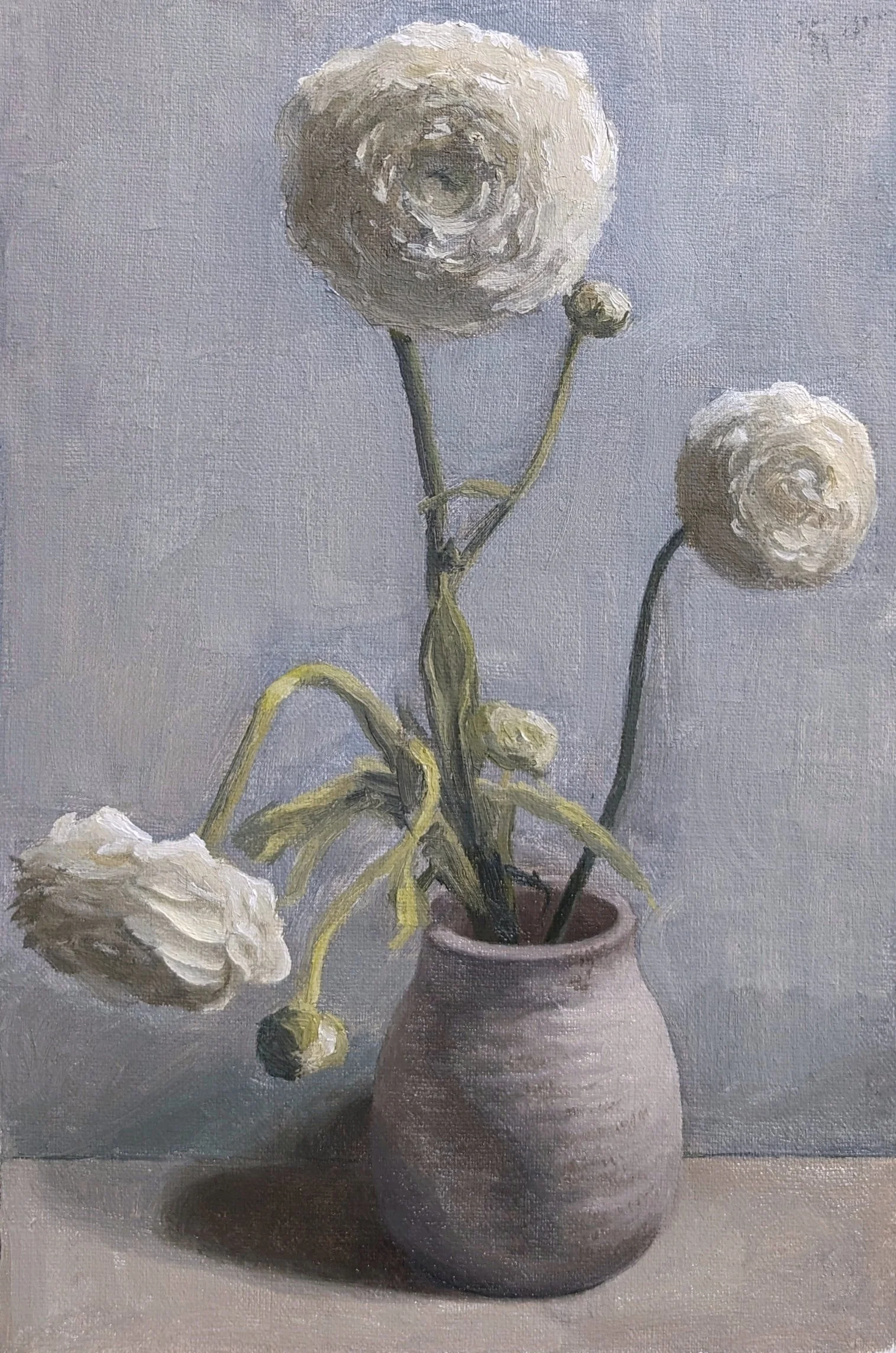 Still Life