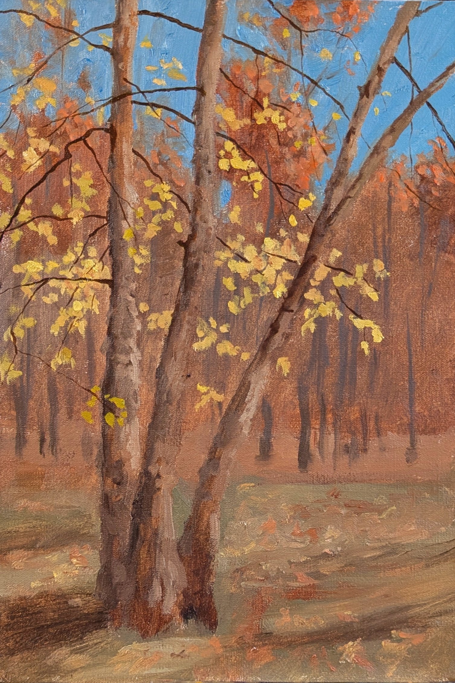 Fall Birch
Oil on Panel,
11'' x 7'' 
2025. Available
