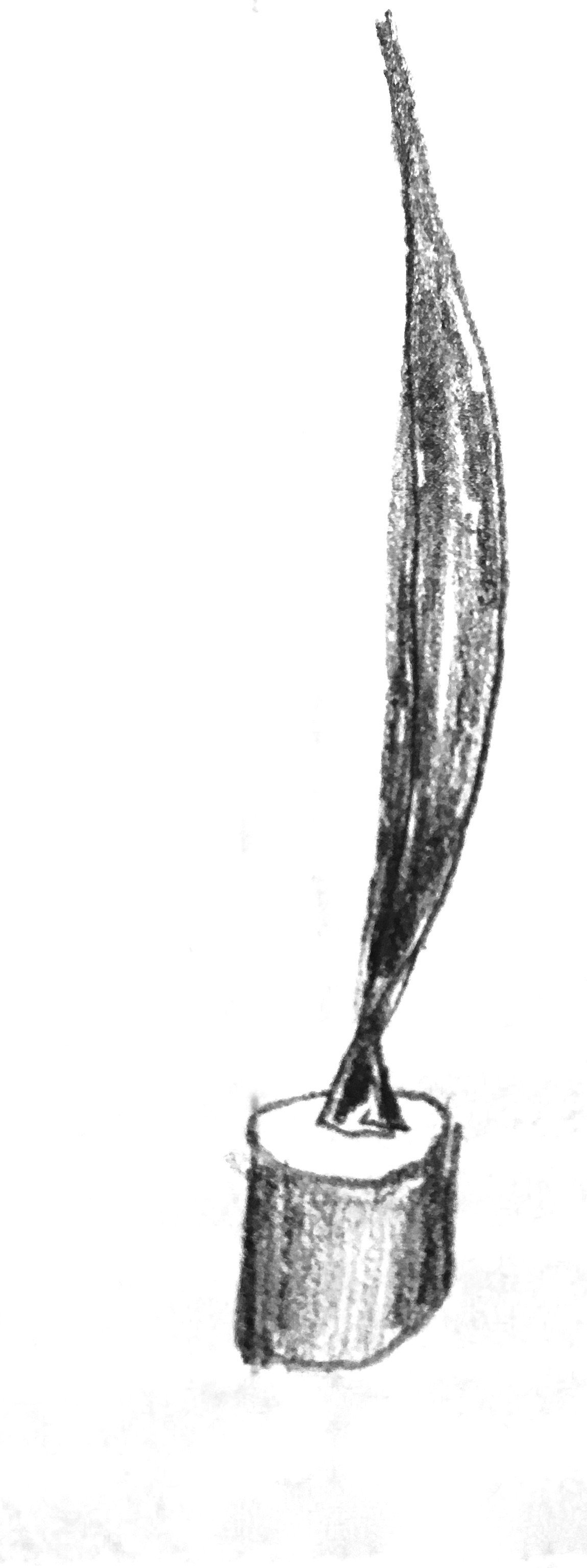 1925 Brancusi, bird in space (flight) 1925