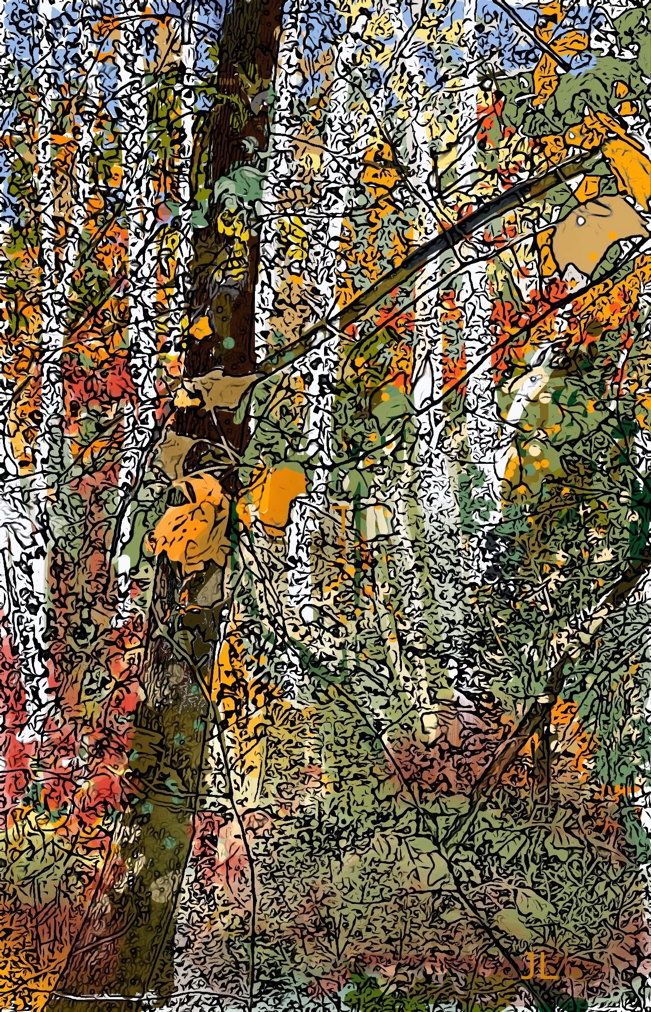 "Sycamores in Rock Creek Park" 2024 (Digital Art: photograph digitized, outlines removed, color amplified). Available as print, card or poster--size optional.