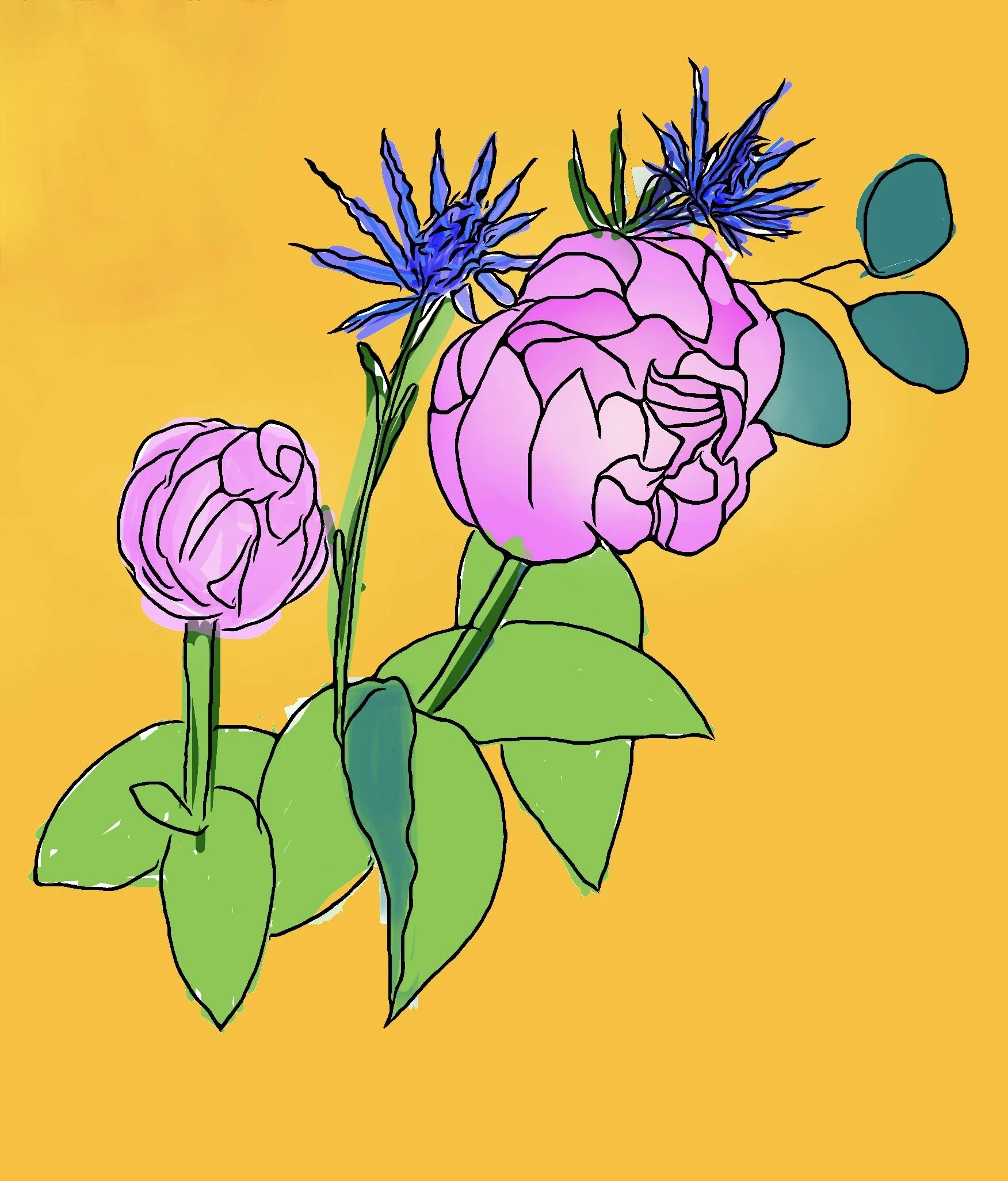 "Peony with Sea Holly," 2024 (Digital art: original drawing with color added digitally, any size). 
