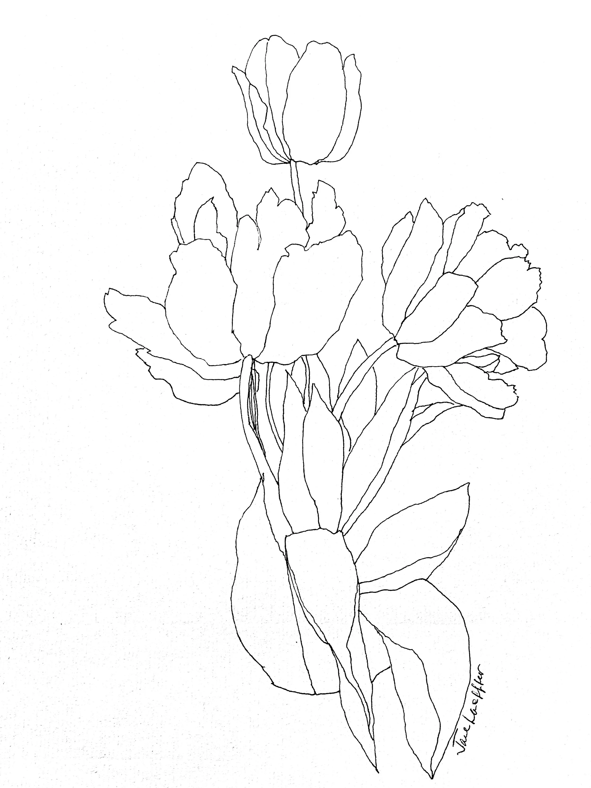 "Tulips," 2020 (Ink on paper).