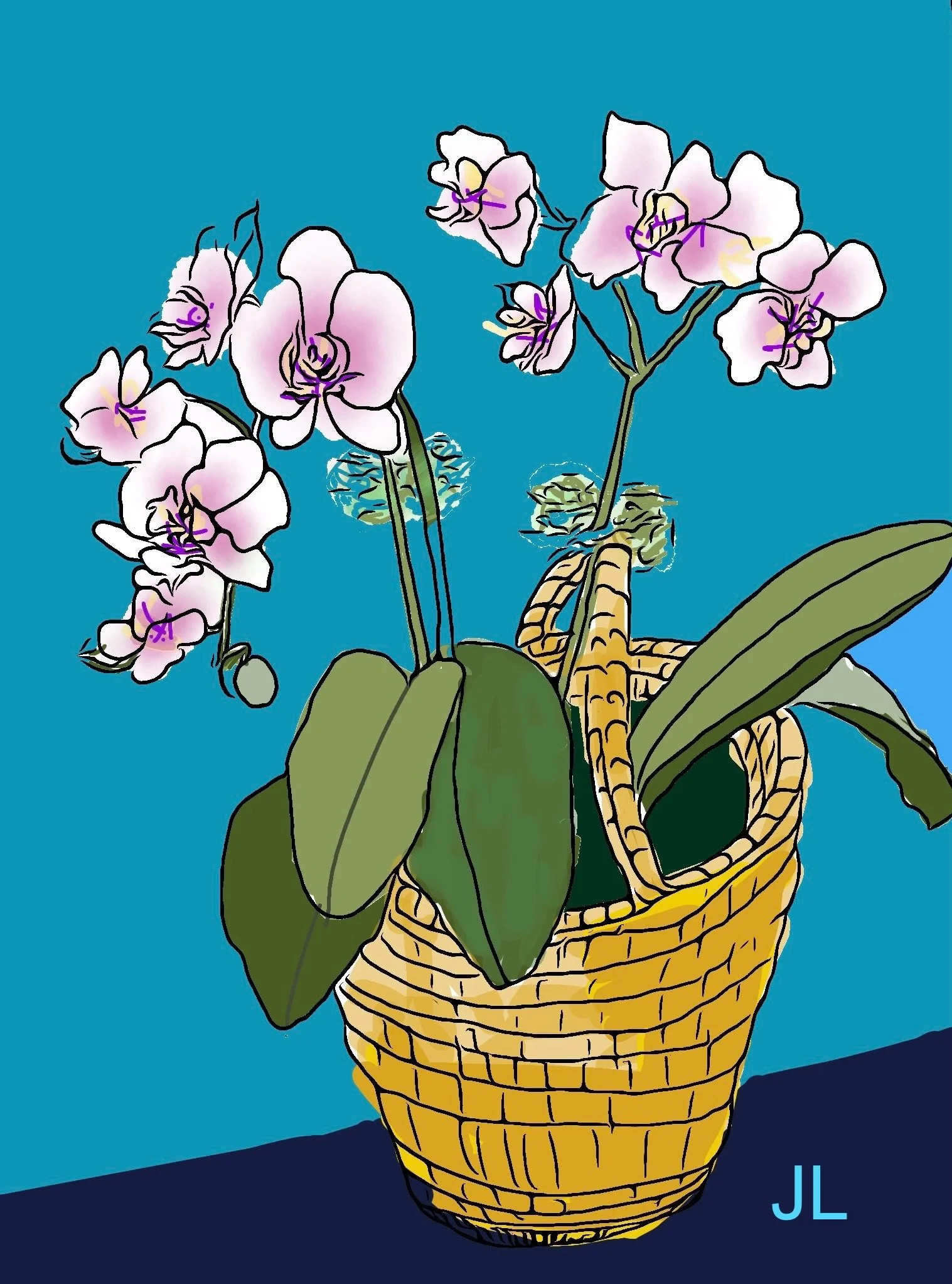 "Pink Birthday Orchids, on Blue" 2025 (Digital Art: ink drawing, digitized, color added) Available as print, card or poster--size optional.