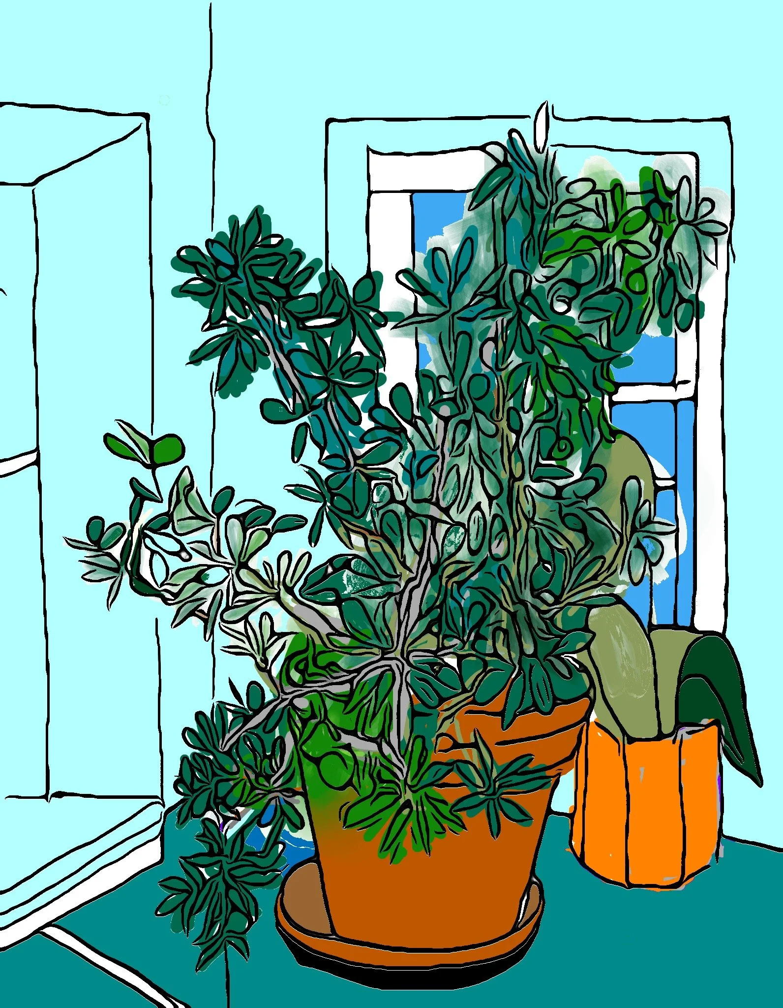 "My Schlefflera," 2024 (Digital Art: original drawing, digitized, color added). Available as print, card or poster--size optional.