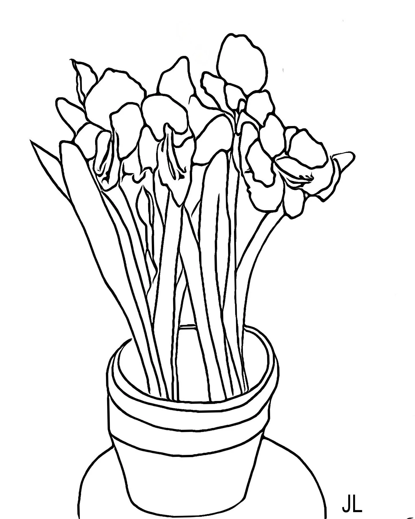 "Amaryllis in Bloom," 2024 (Digital art: line drawing using original hand drawing as template, no size).
