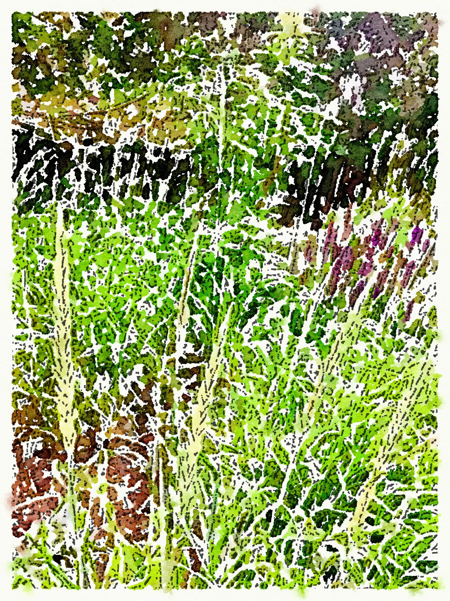 "Triptych, Panel 3: Grasses," 2020 (Original photograph, digitally edited and printed  on canvas, mounted, 9"x12"). Available for purchase.