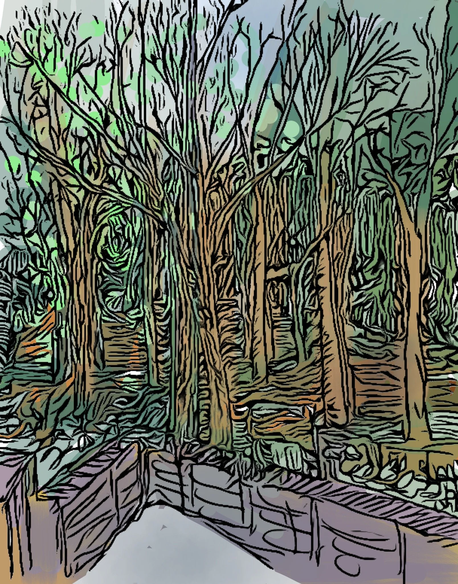"Terrace, Overlooking Rock Creek Park," 2024 (Digital Art: original drawing digitized, color added). Available as print, card or poster--size optional.