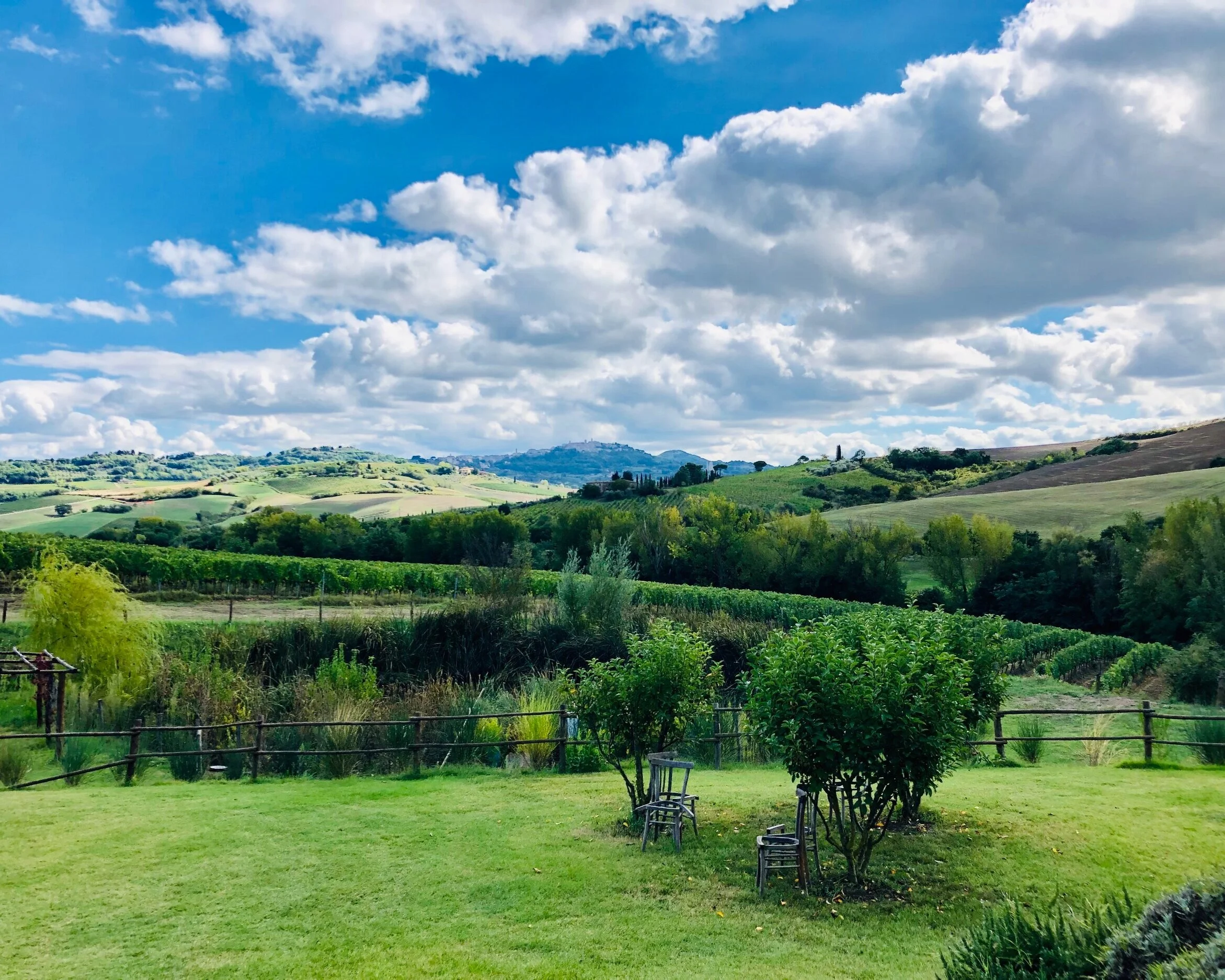 HOTEL - Follonico B&B / The view