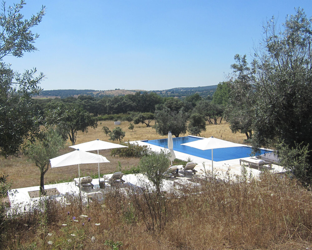 HOTEL - Pool Area and Olive Groves