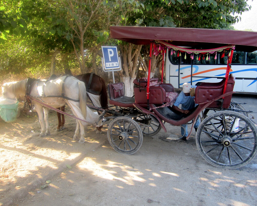SIGHTS - Ancient Ephesus Carriage Ride 