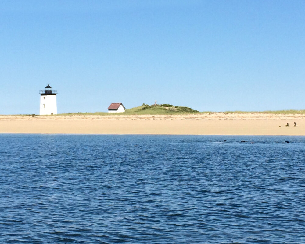 SIGHTS - Long Point Beach and Lighthouse