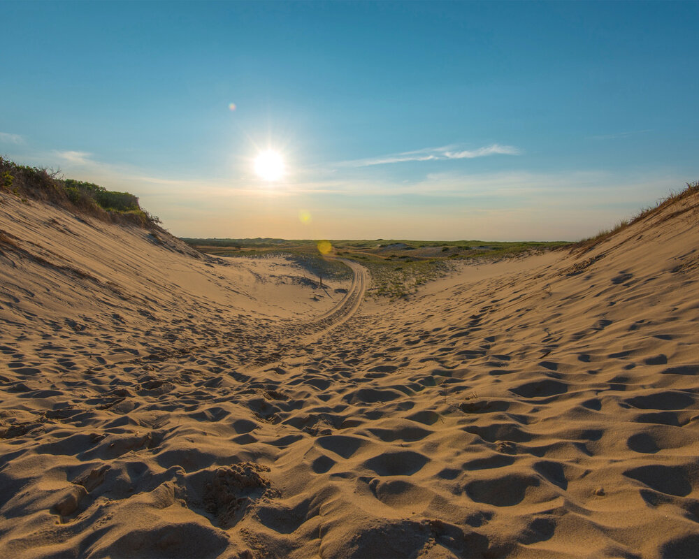 THINGS TO DO - Art's Dune Tours at Sunset