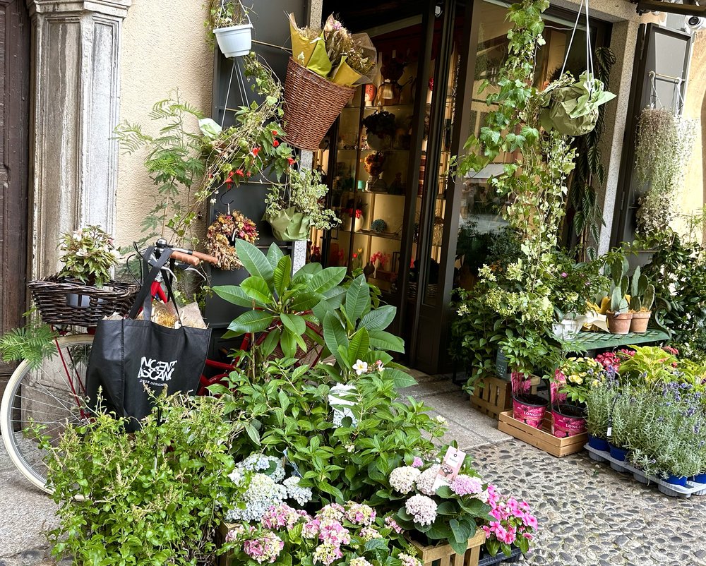 SIGHTS - Flower Shop in Como