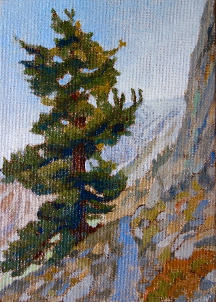 A Turn of the Trail
