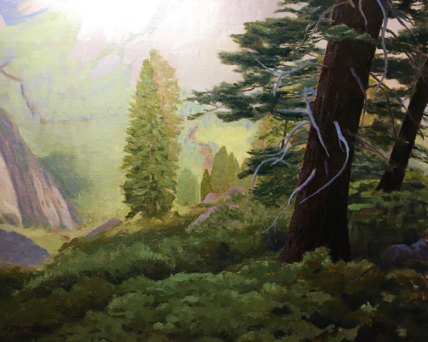 Four Mile Trail