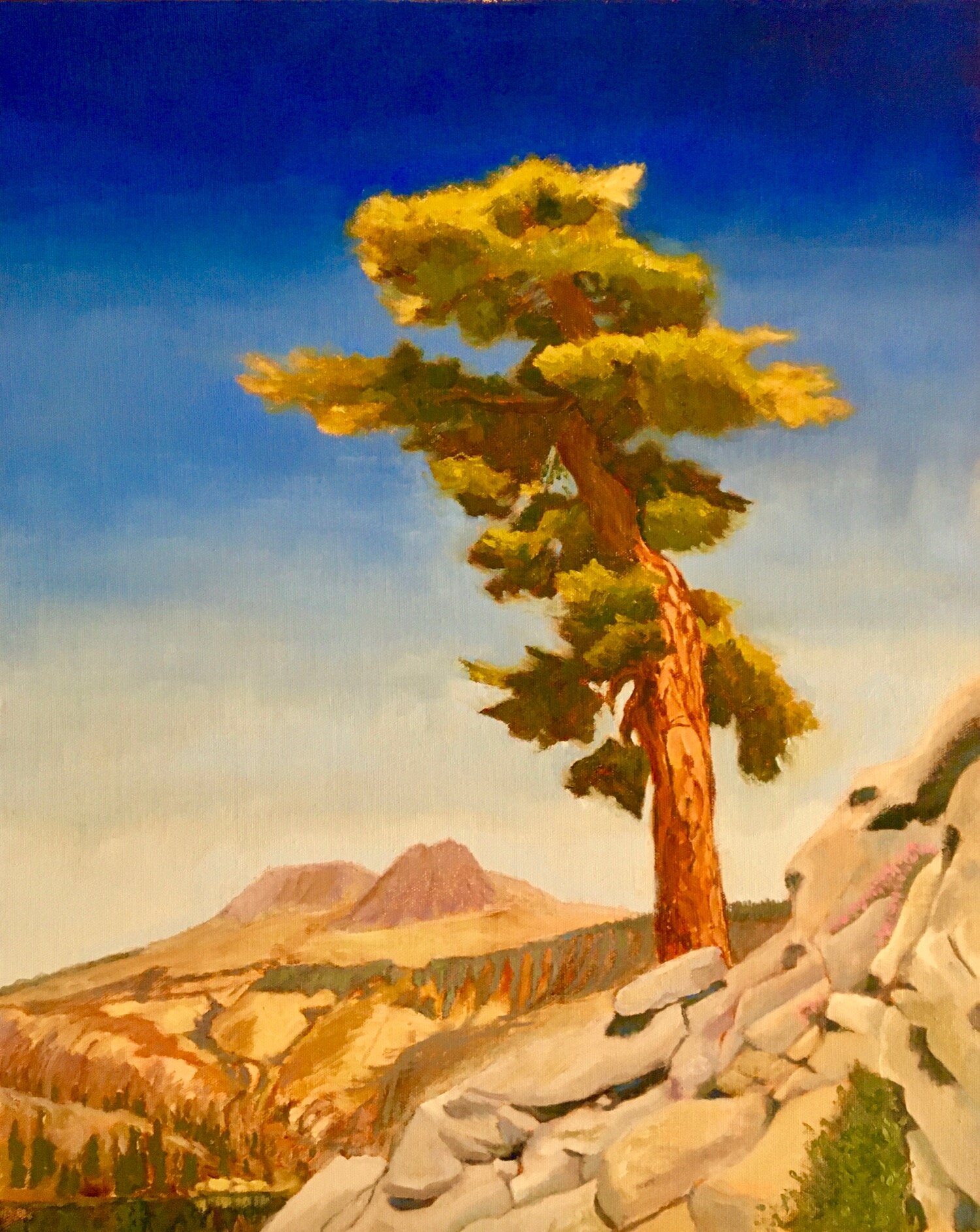 Mt Hoffman