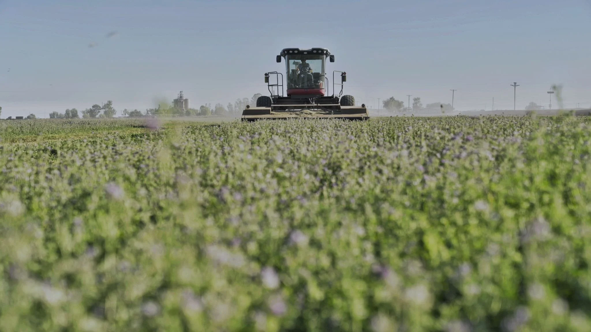 Harvesting in the Imperial Valley