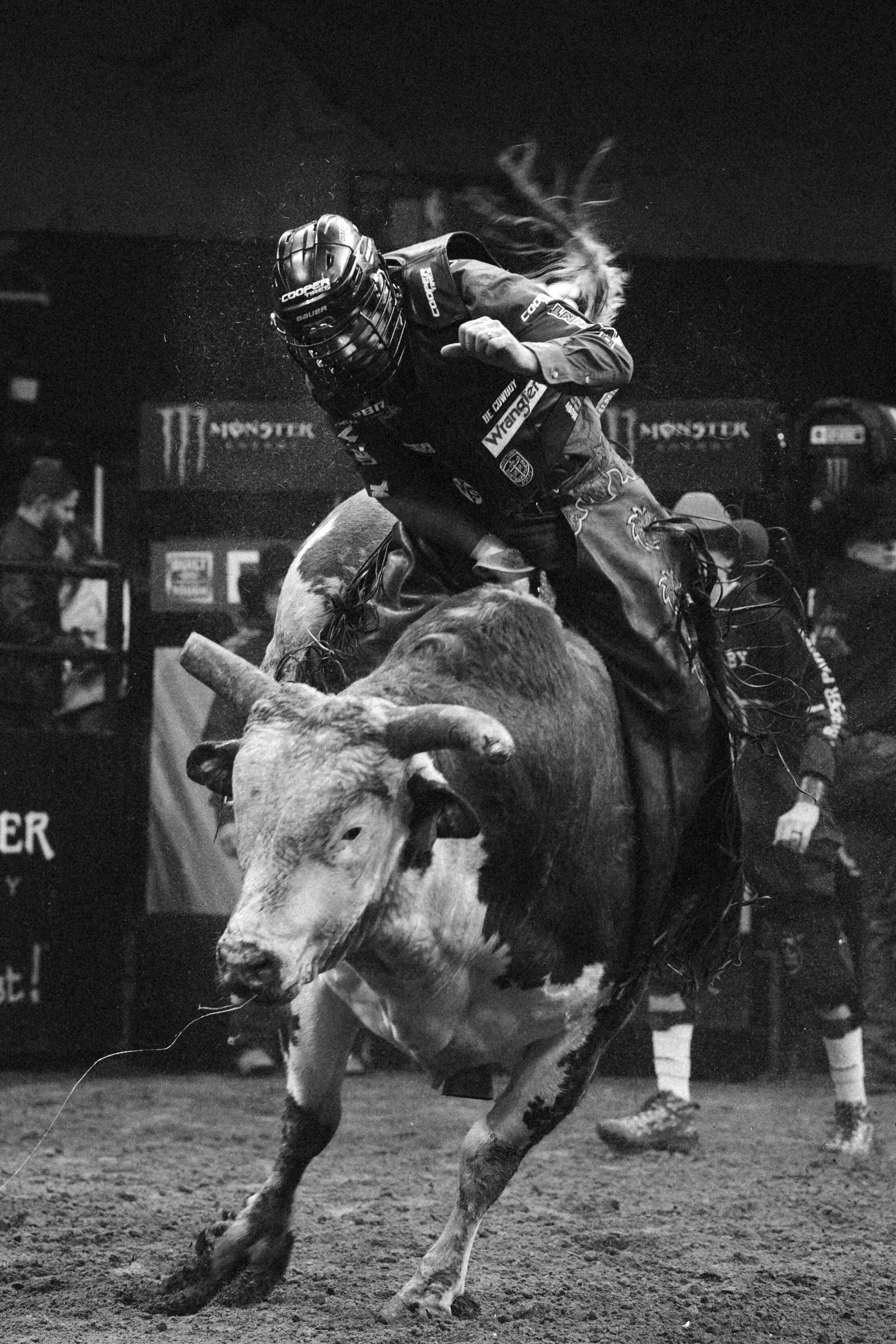 Bull Riding Poems