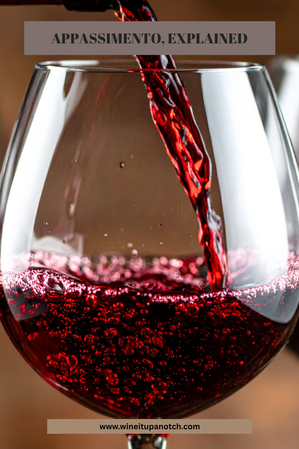 DECODING WINE WORDS: Appassimento, Explained