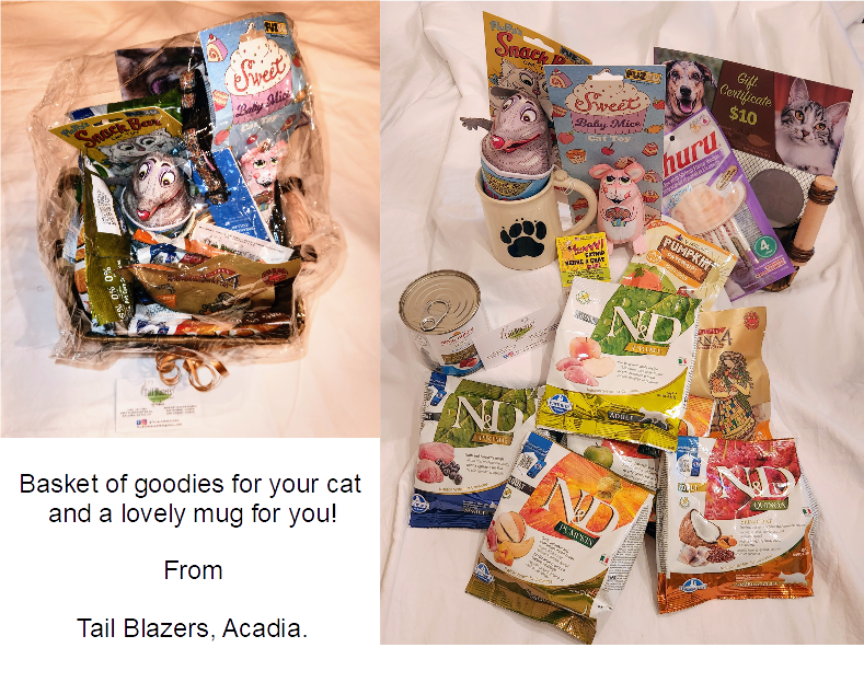 cat.png