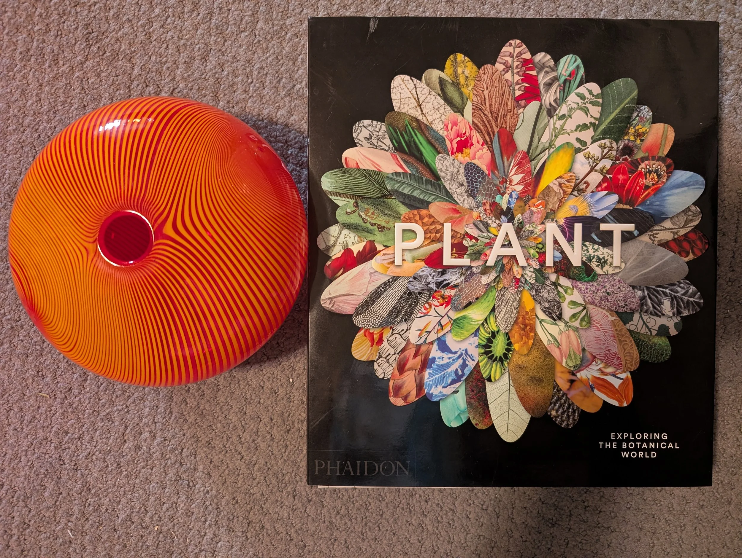 Plants.jpg
