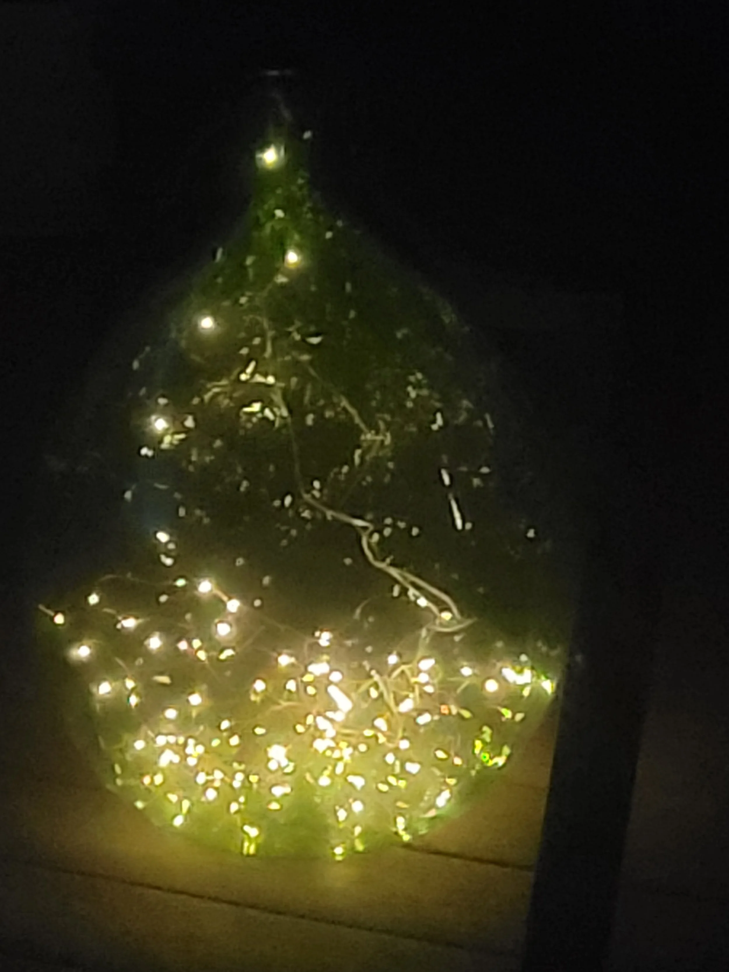 Fairy Light.jpg