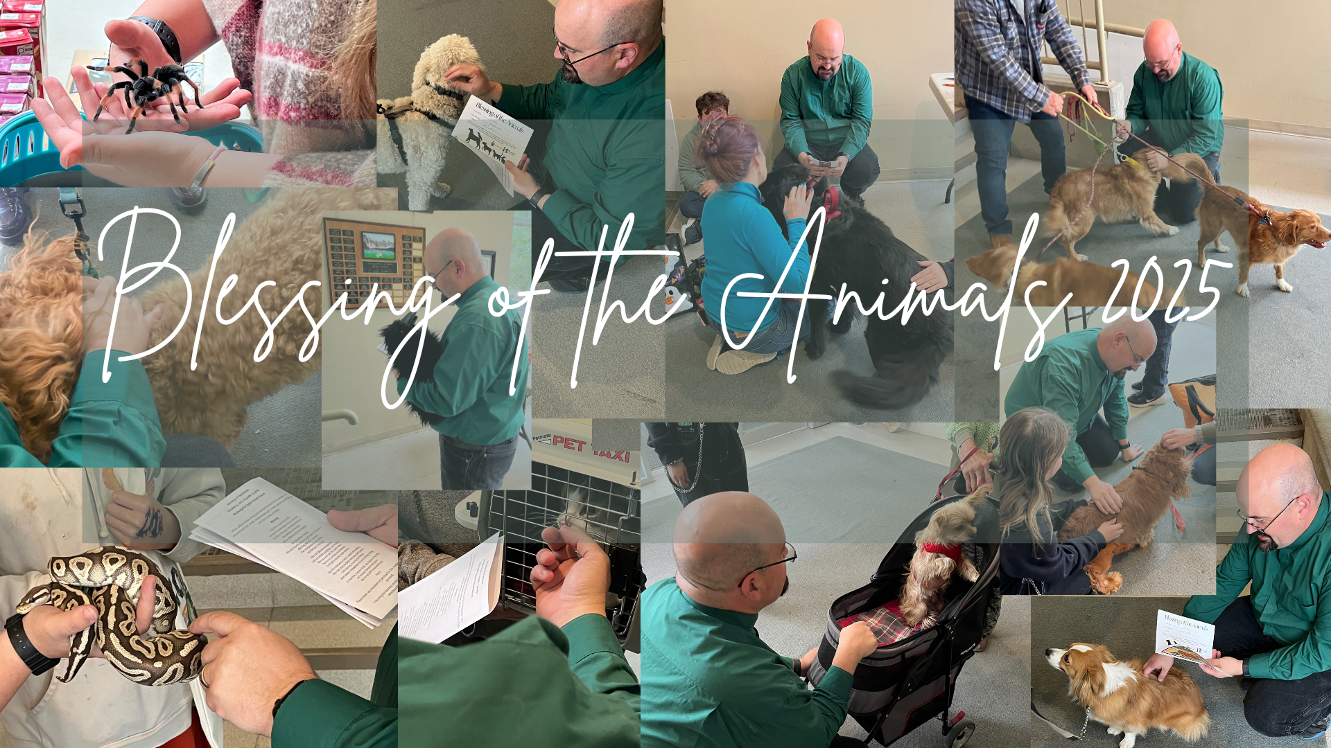 Blessing of the Animals 2025 (2).png