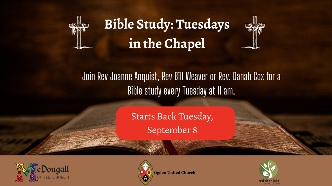 13 - Bible Study.png