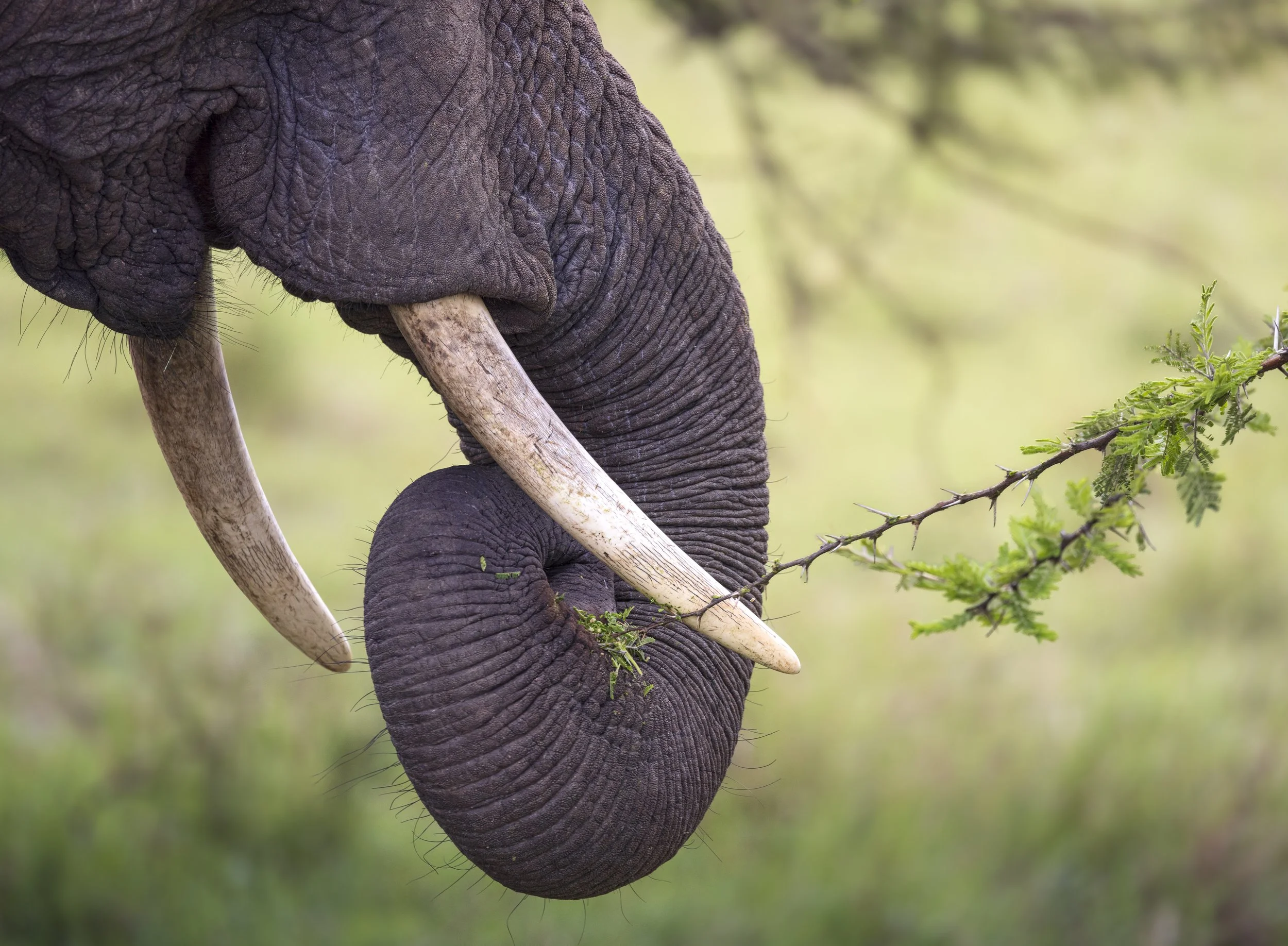Talor_Stone_Kenya_2026_50.jpg
