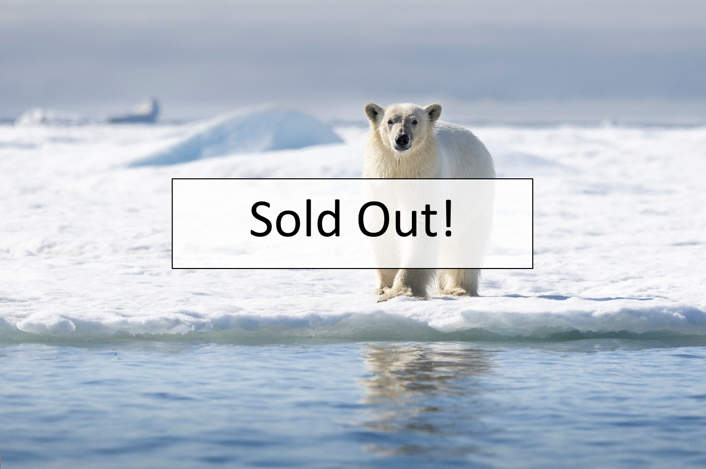 Svalbard Pack Ice  |  June 9-18, 2027