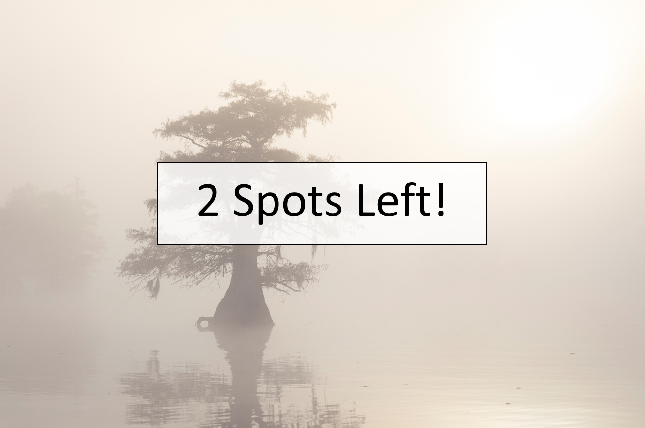 Caddo Lake  |  November 8-12, 2026