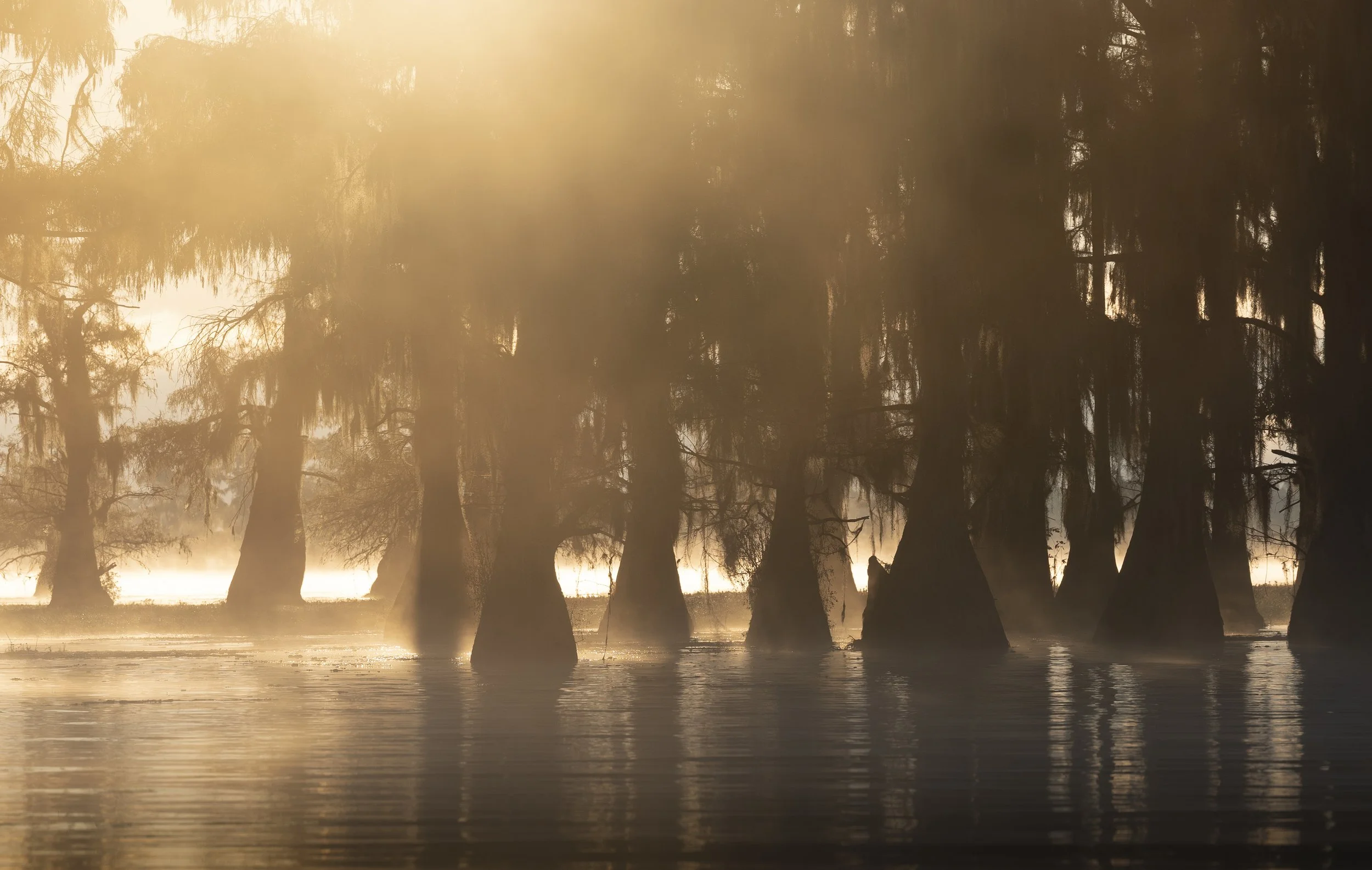 Talor_Stone_Caddo_2021_5.jpg